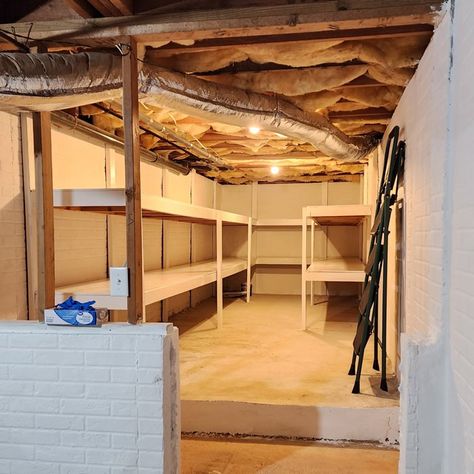 Crawl Space Ideas Storage, Finished Crawl Space Ideas, Basement Crawl Space Ideas, Crawl Space Storage Ideas, Crawl Space Organization, Crawlspace Ideas, Painting Basement Walls, Exterior Landscape Ideas, Crawl Space Ideas