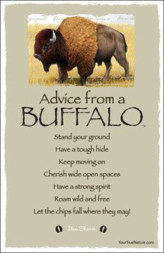 Advice from a BUFFALO. Love the quotes/advice to live by! Stand Your Ground, Spirit Animal Totem, Wood Badge, Native American Wisdom, Animal Spirit Guides, Animal Medicine, Native American Quotes, Wide Open Spaces, Power Animal