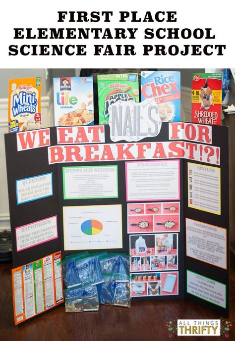 First place Elementary School Science Fair Project! | All Things Thrifty Elementary School Science Fair Projects, Stem Fair Projects, 5th Grade Science Projects, Kids Science Fair Projects, Elementary Science Fair Projects, Science Fair Board, Science Fair Project Ideas, Fair Project Ideas, Science Fair Experiments