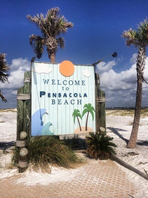 ...... Pensacola Beach Florida, Florida Sunshine, Mexico Beach, Pensacola Florida, Animals Quotes, Pensacola Fl, Pensacola Beach, Beach Vacations, Celebrities Humor