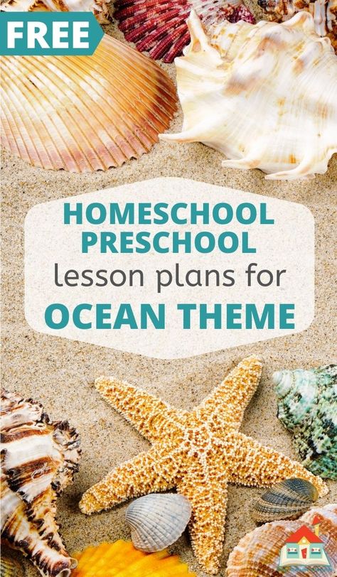 This engaging ocean preschool theme is full of ways to bring the ocean to your preschoolers, and all in tidy printable ocean-themed lesson plans. Here you'll find 15+ ideas for an ocean preschool theme, including book lists, art and sensory play, literacy activities, and some math and science fun. Ocean Preschool Theme, Sea Animals Preschool, Ocean Worksheets, Ocean Activities Preschool, Ocean Preschool, Ocean Lesson Plans, Sea Life Theme, Ocean Theme Preschool, Ocean Books