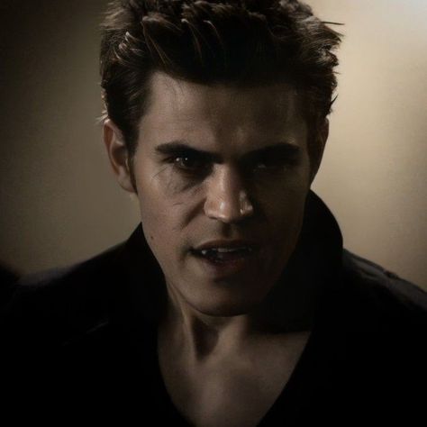 Stephan Vampire Diaries, Stefan Vampire, Stefan Tvd, Paul Vampire Diaries, Klaus And Caroline, Vampire Diaries Stefan, Vampire Diaries Guys, I Have A Boyfriend, Like Fine Wine