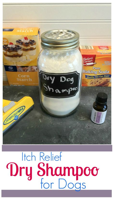 Looking for a safe way to care for your dog between baths? Learn how to make your own dry shampoo for dogs & how it can help here! Diy Dry Shampoo For Dogs, Dog Dry Shampoo, Dog Safe Essential Oils, Dry Shampoo For Dogs, Diy Dog Shampoo, Pet Recipes, Itchy Dog, Pet Meds, Dog Remedies