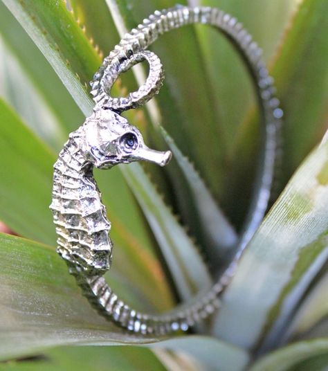 Seahorse bangle by isola bella Seahorse Jewelry, Sea Inspired Jewelry, Seahorse Art, Mermaid Jewelry, Nautical Jewelry, Newport Ri, Sea Horse, Coastal Home, Dog Beds