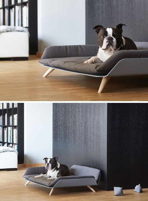 Designer Gerd Couckhuy has created the Letto dayBed, a stylish and modern dog bed made with an aluminum frame, light wood legs and a soft comfortable pillow. Modern Dog Bed, Diy Chat, Pallet Dog Beds, Dog Bed Modern, Diy Dog Bed, Dog Bed Furniture, Modern Pet, Dog Rooms, Dog Furniture