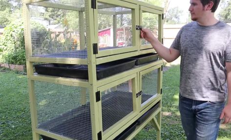 Diy Indoor Quail Cage, Quail Cages Diy How To Build, Quail Coop Ideas Diy Outdoor, Quail Hutch Diy, Quail Cage Ideas, Button Quail Housing Indoor, Diy Quail Cage, Diy Quail Coop, Quail Coop Ideas Diy