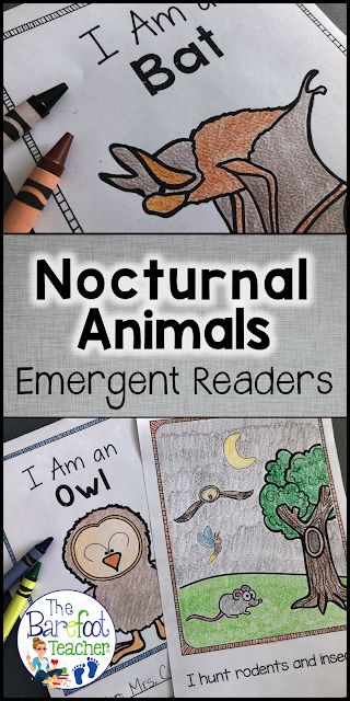 Nocturnal Animals Kindergarten, Nocturnal Animals Activities, Emergent Readers Free, Bats Unit, Develop Confidence, Fall Activities For Kids, Fall Kindergarten, Summer Preschool, Halloween Preschool