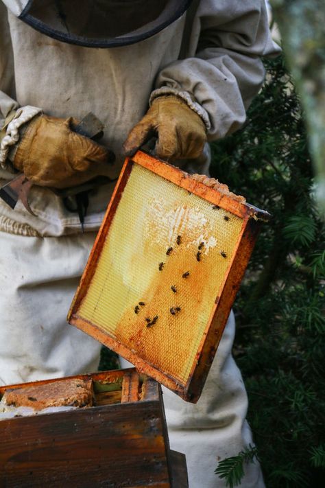 Beekeeper Aesthetic, Beekeeping Aesthetic, Homestead Aesthetic, 2025 Moodboard, Bee Smoker, Langstroth Hive, Top Bar Hive, Beekeeping For Beginners, Book Edits