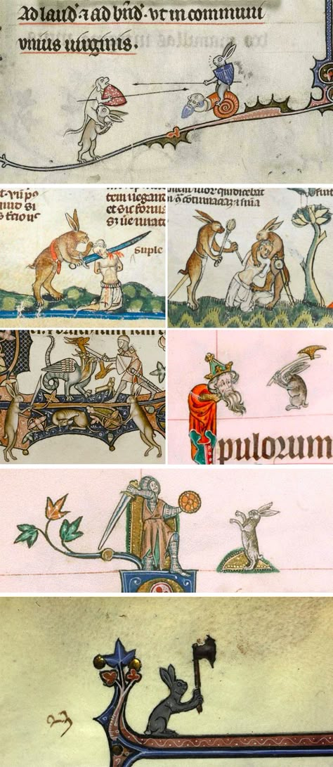 Violent Rabbit Illustrations Found in the Margins of Medieval Manuscripts Medieval Rabbit Art, Medieval Rabbit, Medieval Bestiary, Medieval Drawings, Medieval Manuscripts, Illustrated Manuscript, Medieval Books, Medieval Ages, Rabbit Illustration