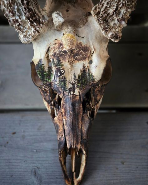 I can't believe my friend trusted me with this! 😱 I learned that burning on bone is an absolute bxtch! 🤣 #hunting # hunter #deerskull #skull #deerskullart #deerhunter #deerhunting #bowhunting #deerscene #huntingart #burning #pyro #pyrography #colwood #colwoodburner Bone Burning Art, Painting On Deer Skull, Deer Skull Art Diy, Painting Deer Skulls, Horse Skull Art, Deer Skull Ideas, Dipped Deer Skull, Painted Skull Ideas, Deer Skull Painting