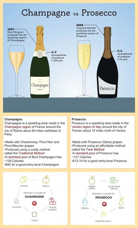 Glasses to drink in Style Champagne vs. Prosecco infographic and website #wine Wine Chart, Wine Facts, Wine Folly, Wine Knowledge, Wine Education, Wine Tasting Party, Wine Guide, Wine Food Pairing, Wine Cheese