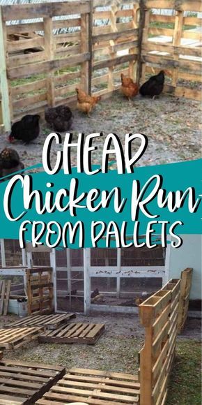 Coop Extension, Chicken Coop Extension, Pallet Chicken Coop, Chicken Coop Designs Diy, Fence Extension, Building A Chicken Run, Chicken Enclosure, Cheap Chicken Coops, Chicken Coop Pallets