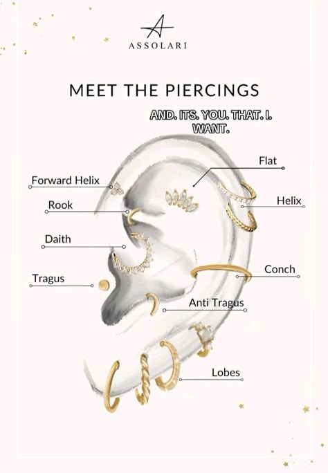 Piercing Ideas Helix Ear, Names Of Different Ear Piercings, Names Of Piercings Ears, Ear Piercing Ideas For Small Ears, Ear Piercings And Names, Peircings Earring Ideas Names, Ear Piercing Ideas Names, Ear Piercings Chart Names, Ear Piercing Ideas Chart Names