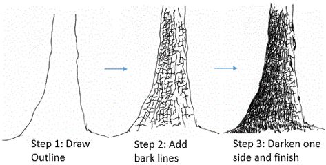 How To Draw Bark On A Tree, How To Draw Tree Trunk, How To Draw Tree Bark, Tree Texture Drawing, Tree Bark Drawing, Foliage Drawing, Tree Trunk Drawing, Draw Tree, Trees Drawing Tutorial