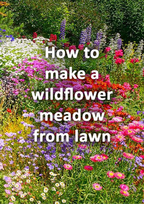 Wild Woodland Garden, Wildflower Garden With Path, Field Garden Ideas, Mound Planting Garden Ideas, Wildflower Garden Front Yard Landscape Design, Native Meadow Garden, Planting Wild Flowers Garden Ideas, Garden And Yard Ideas, Wild Flowers Garden Ideas