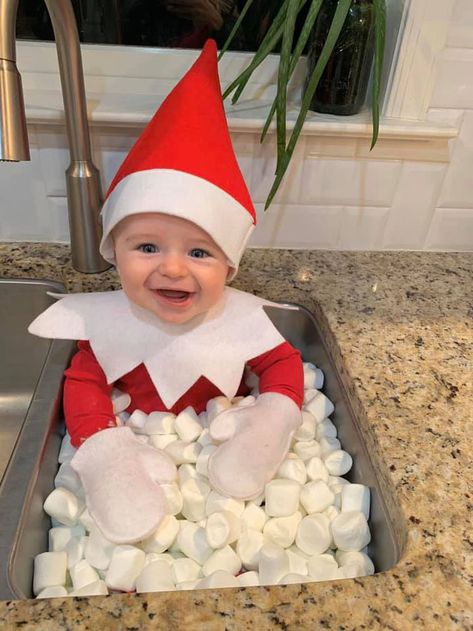 Baby Elf On The Shelf, Toddler Christmas Pictures, Toddler Christmas Photos, Baby Christmas Photography, Christmas Picture Books, Christmas Baby Pictures, Baby Elf, Elf Toy, Baby Christmas Photos