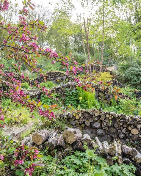 Nigel Dunnett Garden, Log Piles Garden, Backyard Meadow, Nigel Dunnett, Log Garden, Welsh Cottage, Personal Garden, Bee Friendly Garden, Habitat Garden