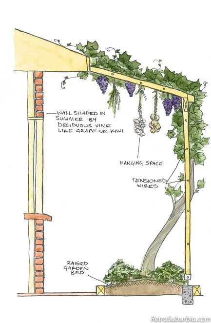 Tanaman Indoor, Shade Design, Permaculture Gardening, Siluete Umane, Permaculture Design, Have Inspiration, Food Garden, Veggie Garden, Garden Cottage