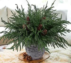 Diy Greenery, Pine Cone Christmas Decorations, Large Pine Cones, Christmas Tree Clear Lights, Winter Floral Arrangements, Green Centerpieces, Norfolk Pine, Christmas Planters, Pine Branches