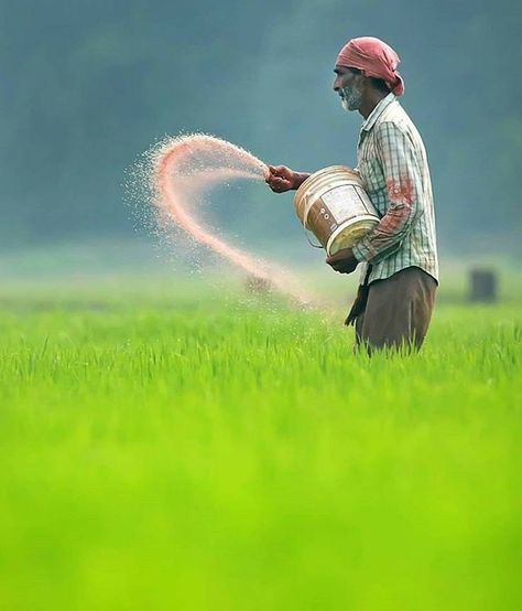 Agriculture Pictures, Farmer Painting, Agriculture Photography, Agriculture Photos, Farmers Day, Beautiful Eyes Images, Farm Paintings, Farm Photography, Village Photography