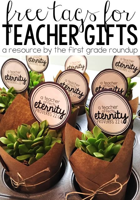 How to make this easy and adorable succulent plant gift for less than $3.00 each! This is perfect for teacher appreciation week or any other time of the school year. And grab the FREE labels!