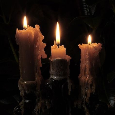 Grafika Vintage, Dark Acadamia, Yennefer Of Vengerberg, Candle Aesthetic, Arte Obscura, Witch Aesthetic, Dark Academia Aesthetic, Light Academia, Fantasy Aesthetic