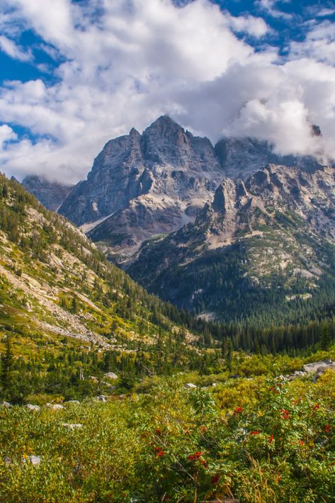 best hike grand teton, best hikes grand teton, best hikes in the tetons, best hiking in grand teton, best trails in grand teton national park, best trails in the tetons, favorite hikes grand teton, hiking in grand teton national park, hiking in the tetons, trails in the tetons, best hikes in grand teton national park, grand teton national park hiking, delta lake trail grand tetons, death canyon grand tetons, cascade canyon grand tetons, paintbrush canyon grand tetons, bradley taggart lake trail Rugged Mountains, Best Hikes, Travel Fun, Places To Travel, National Park, National Parks, Things To Do, Hiking, Lake