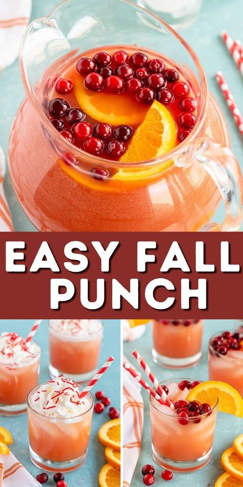 Thanksgiving Breakfast Drinks, Harvest Punch Non Alcoholic, Punch Thanksgiving, Thanksgiving Drinks Non Alcoholic, Harvest Punch, Fall Punch Recipes, Fall Punch, Best Disneyland Food, Thanksgiving Punch