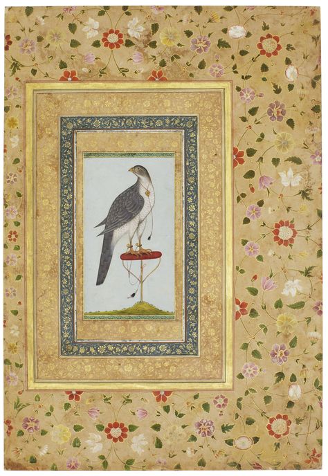 A Northern Goshawk, attributed to Mihr Chand, Lucknow or Faizabad, circa 1770, with borders from a royal album made for Shah Jahan, Mughal, circa 1640-58. Mughal Miniature, Northern Goshawk, Mughal Miniature Paintings, Shah Jahan, Southeast Asian Arts, South Asian Art, Persian Miniature, Mughal Paintings, Miniature Paintings