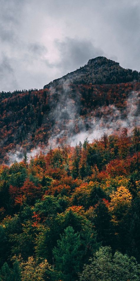 Ios16 Wallpaper Aesthetic, Ios16 Wallpaper 4k, Forest Iphone Wallpaper, Mrunmayee Deshpande, Autumn Wallpaper Hd, Fall Mountains, Iphone11 Pro, Iphone Wallpaper Fall, Forest Mountain