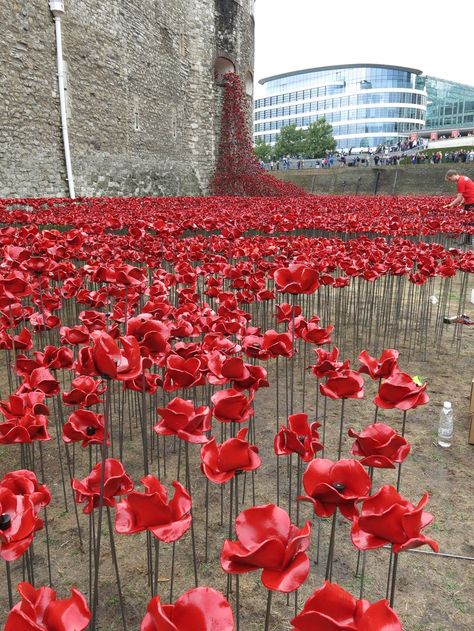 Red Flower Installation, Milk Jugs Garden, Remembrance Day Art, Ceramic Poppies, Colonial Life, Art Coquillage, The Tower Of London, Gothic Garden, One Flower