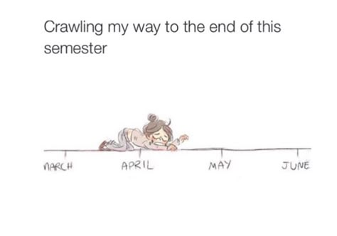 Crawling my way to the end of the semester! College Life Humor, Studying Memes, Exams Funny, Ending Quotes, College Quotes, Bio Quotes, Funny True Quotes, Twitter Quotes Funny, Sarcastic Quotes Funny