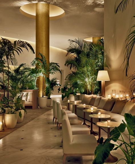 Miami Beach Edition, Edition Hotel, Hotel Lobby Design, Miami Hotels, Casa Country, Interior Design Guide, 카페 인테리어 디자인, Hotel Interior Design, Lobby Design