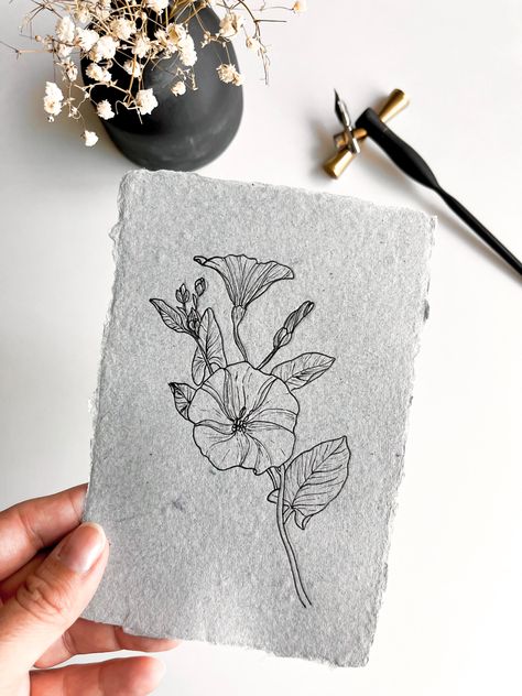 Morning Glory Vine Drawing, Morning Glory Drawings, Black And White Morning Glory Tattoo, Morning Glory Arm Tattoo, Morning Glory Line Art, Morning Glory Fine Line Tattoo, Morning Glory Vine Tattoo, Morning Glory Flowers Drawing, Aster And Morning Glory Flower Tattoo