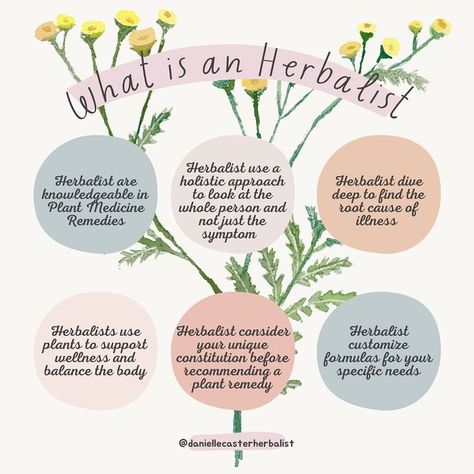 Danielle Caster 🌿 Herbalist on Instagram: "🌿 For more information, or to schedule a 15 minute exploratory call, click the link in bio or visit www.daniellecaster.com 🌿 #herbalist #herbalistsofinstagram #herbalmedicine #herbalism #plantswork" Becoming A Herbalist, Herbalism Journal Ideas, Herbalist Wallpaper, Christian Herbalist, Herbalist Skincare, Herbalist Tattoo, Herbalist Business, Herbalist Journal, Herbalism Aesthetic