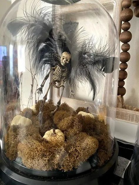 a unique Halloween cloche with moss, white pumpkins, a skeleton with black feather wings is a gorgeous idea Glass Coffin Decor, Halloween Lantern Ideas, Mini Skeleton Crafts, Halloween Cloche Ideas, Halloween Diy Wreath, Vampire Halloween Party, Vampire Skeleton, Halloween Cloche, Creepy Crafts