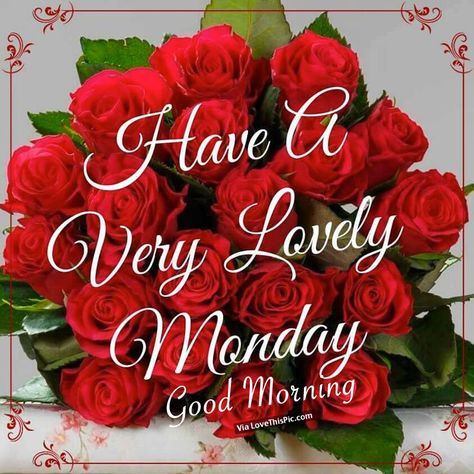 Happy Monday Gif, Monday Good Morning, Nice Good Morning Images, Monday Greetings, Good Morning Monday Images, Monday Pictures, Happy Monday Morning, Monday Images, Today Is Monday