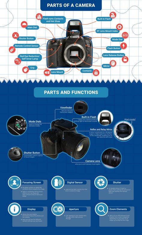 Parts of a Camera | 42West, the Adorama Learning Center Camera Infographic, Parts Of A Camera, Technology Photography, Camera Basics, Kamera Dslr, Manual Photography, Best Dslr, Camera Parts, Photography Cheat Sheets