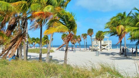 Best Hotels In Miami, Florida Vacation Spots, Crandon Park, Florida Lighthouses, Miami Travel Guide, Beach Week, Miami Travel, Florida State Parks, Bal Harbour