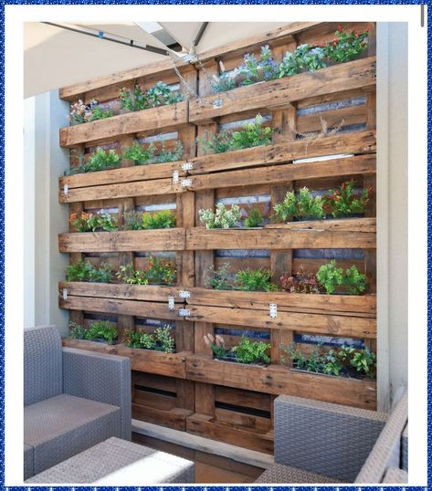 Vertical Patio Garden, Pallet Wall Ideas, Pallet Garden Walls, Garden Wall Ideas, Pallet Fence, Vertical Garden Wall, Pallet Planter, Pallet Wall, Pallet Garden