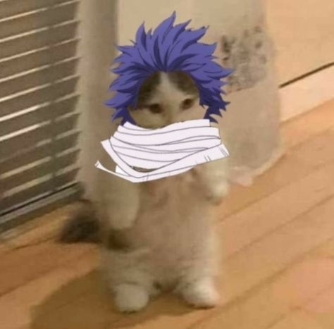 Shinso Hitoshi, Shinsou Hitoshi, Cat Meme, Hair