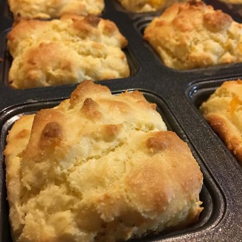 Diabetic Enjoying Food: ALMOND FLOUR BISCUITS (LOW CARB) Low Carb Biscuits, Almond Flour Biscuits, Slice Recipes, Recipes Cheese, Cheese Slice, Low Carb Backen, Kek Lapis, Low Carb Biscuit, Breakfast Low Carb