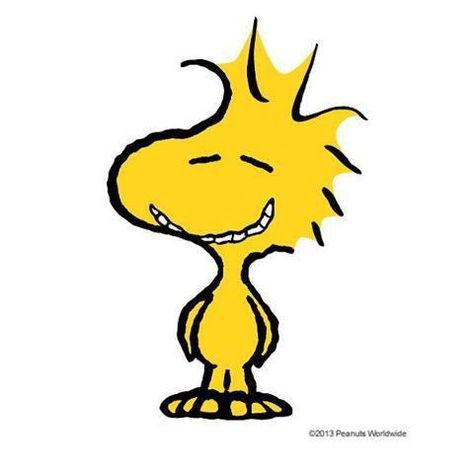 Snoopy's Pal Woodstock Is Actually A Bloodthirsty Cannibal Woodstock Snoopy, Woodstock Peanuts, Peanuts Cartoon, Flying Ace, Peanuts Characters, Snoopy Wallpaper, Snoopy Quotes, Snoopy Pictures, Snoop Dog