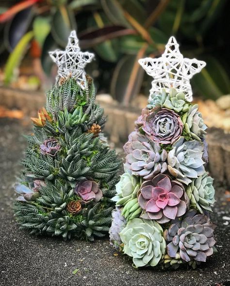 Succulent Crafts, Succulent Christmas, Navidad Natural, Types Of Christmas Trees, Succulent Tree, Colorful Succulents, Succulents Decor, Holiday Centerpieces, Holiday Trends