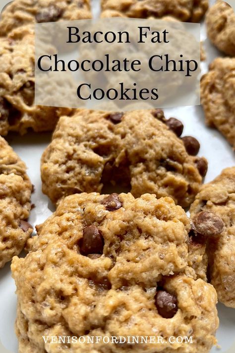 Bacon Fat Chocolate Chip Cookies Bacon Fat Cookies, Bacon Fat Chocolate Chip Cookies, Bacon Grease Chocolate Chip Cookies, Fat Chocolate Chip Cookies, Bacon Chocolate Chip Cookies, Cookies Without Brown Sugar, Make Cookies, Cinnamon Cookies, Best Bacon