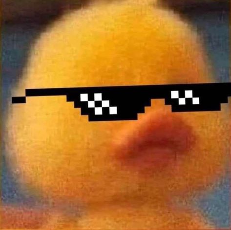 It's a duck, well yk its a BADDIE PFP! Fun Games, Group Chat, Building, Bonito, Tela