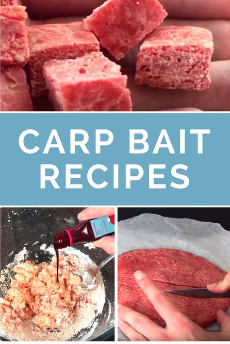 Homemade Carp Bait Recipes Carp Fishing Tips, Carp Fishing Rigs, Carp Fishing Bait, Catfish Bait, Bass Fishing Tips, Fishing Rigs, Fishing Techniques, Fishing Quotes, Fishing Knots