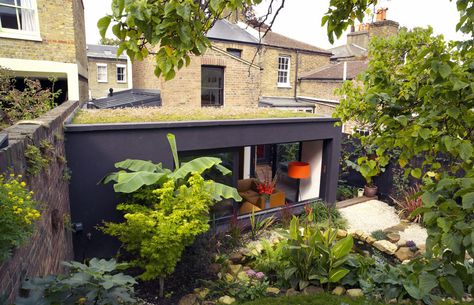 Green roof on box extension. www.methodstudio.london Green Roof Extension, Extension Roof, Roof Plants, Box Extension, Garden Pavillion, Extension Veranda, Extension Inspiration, Sedum Roof, Flat Roof Extension