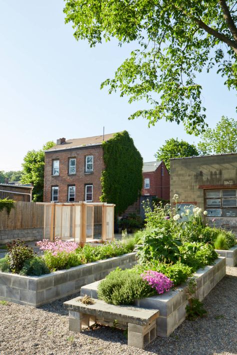 Cinder Block Garden Wall, Cinder Block Garden Bed, Cinder Block Garden, Native Plant Gardening, Plants To Grow, Veg Garden, School Garden, Cinder Block, Public Garden