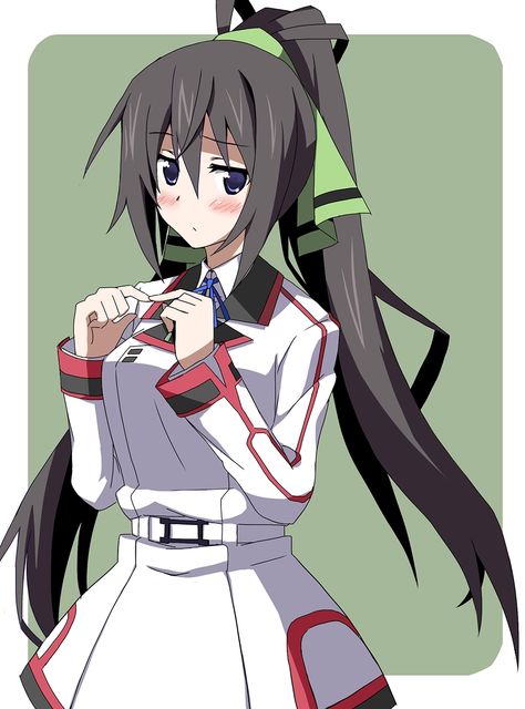 [IS] Infinite Stratos - Houki Shinonono Infinite Stratos Houki, Houki Shinonono, Chizuru Yukimura, Baka To Test To Shoukanjuu, Baka To Test, Infinite Stratos, Robin Cosplay, All Girls School, Sailor Jupiter